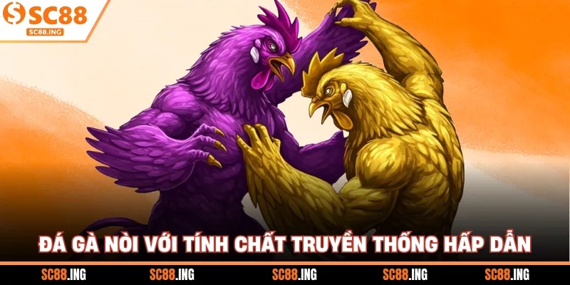 Đá gà nòi với tính chất truyền thống hấp dẫn