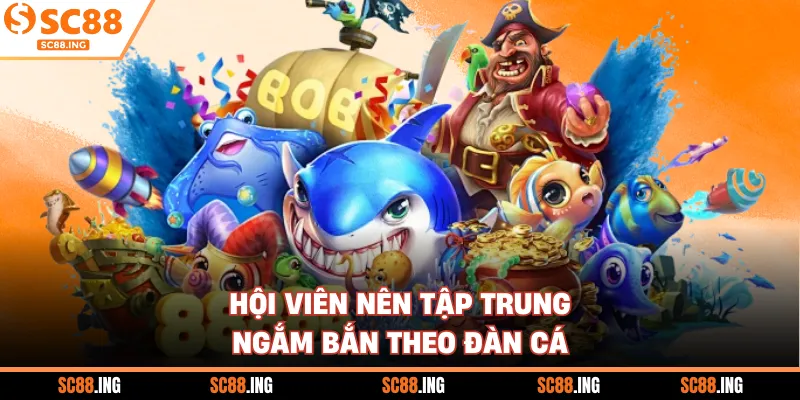 Hội viên nên tập trung ngắm bắn theo đàn cá